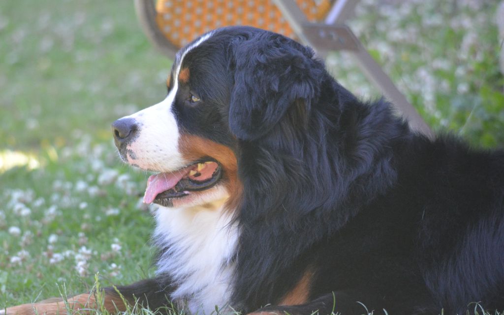 Utoky de La Vallée Du P'tit R'eve